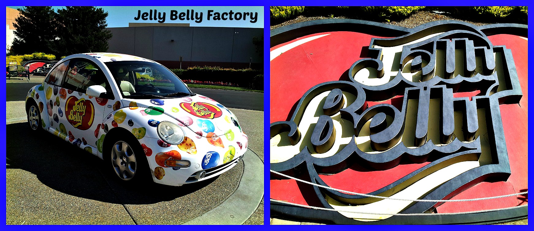 Visiting the Jelly Belly Factory! Minnesota Girl in the WorldMinnesota Girl in the World