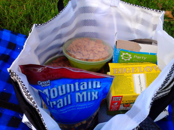 Planning-a-picnic