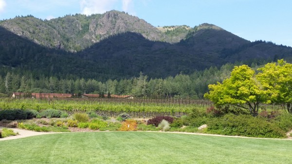 St-Francis-Winery