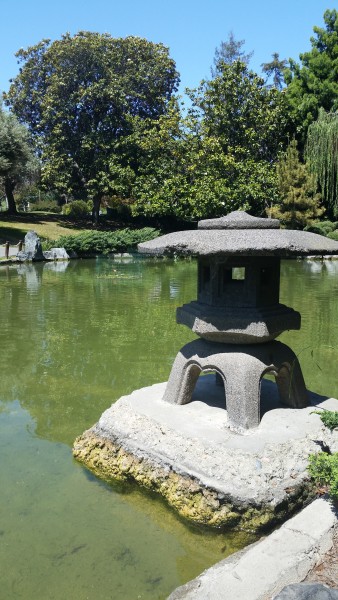 San-Jose-Japanese-Tea-Garden