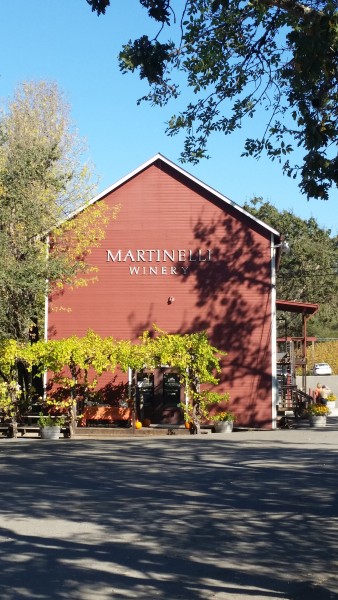 Martinelli-Winery