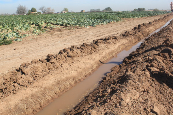 Agricultural-Runoff