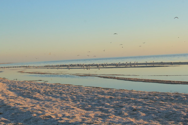 Salton-Sea